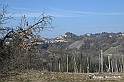 VBS_1097 - Santo Stefano Roero